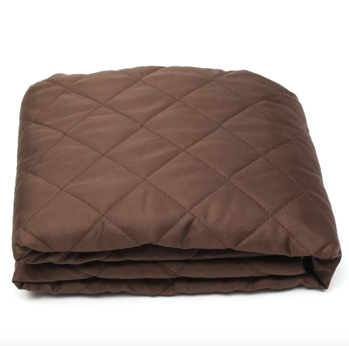 Protective Couch Cover (2 Seater)