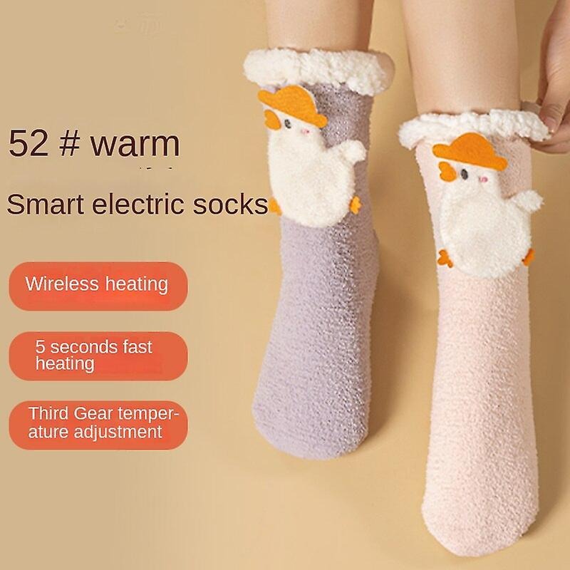 Rechargeable Heating Electric Socks