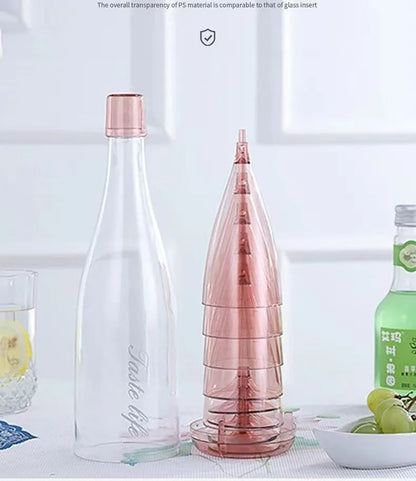 Champagne Flutes With Storage Bottle (5 pcs)