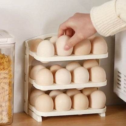 Folding Egg Storage Rack