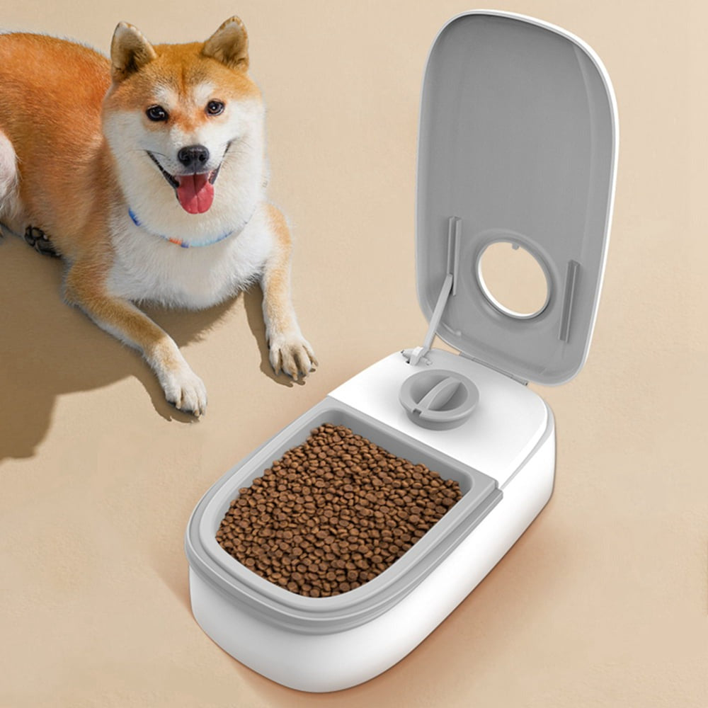 Pet Feeder with Timer (Each)