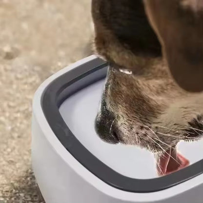 Splash Free Pet Water Bowl