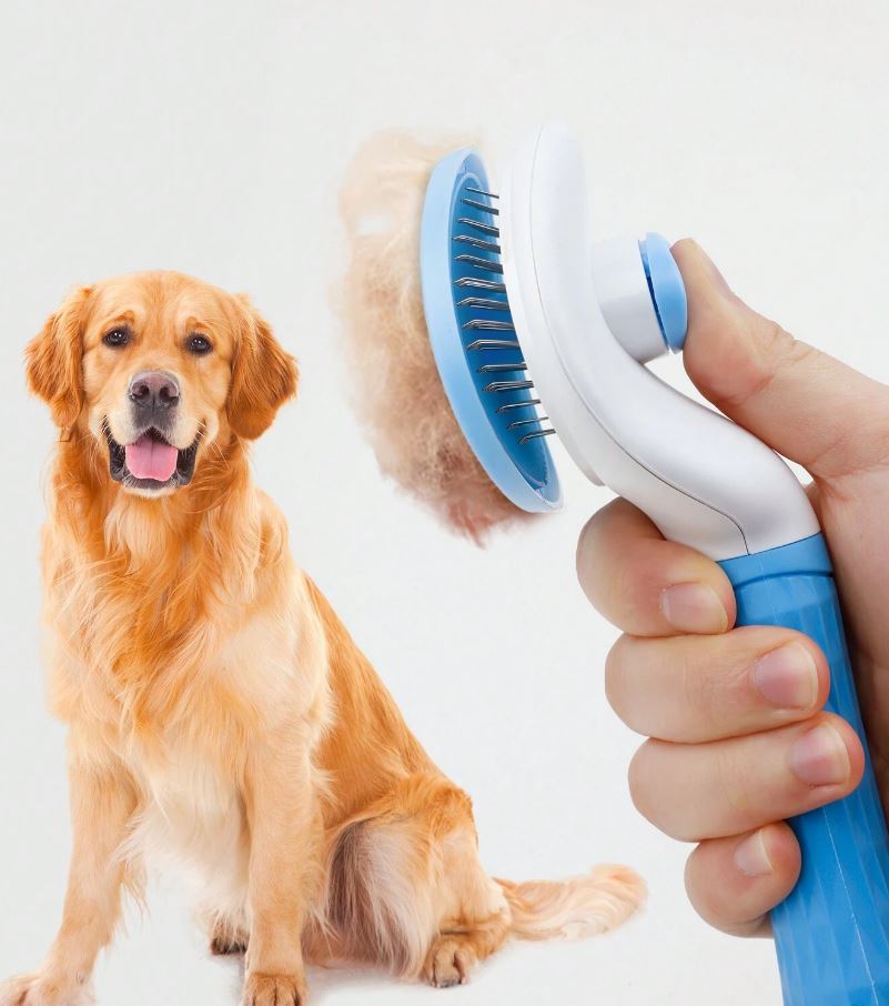 Pet Cleaning And Grooming Beauty Brush