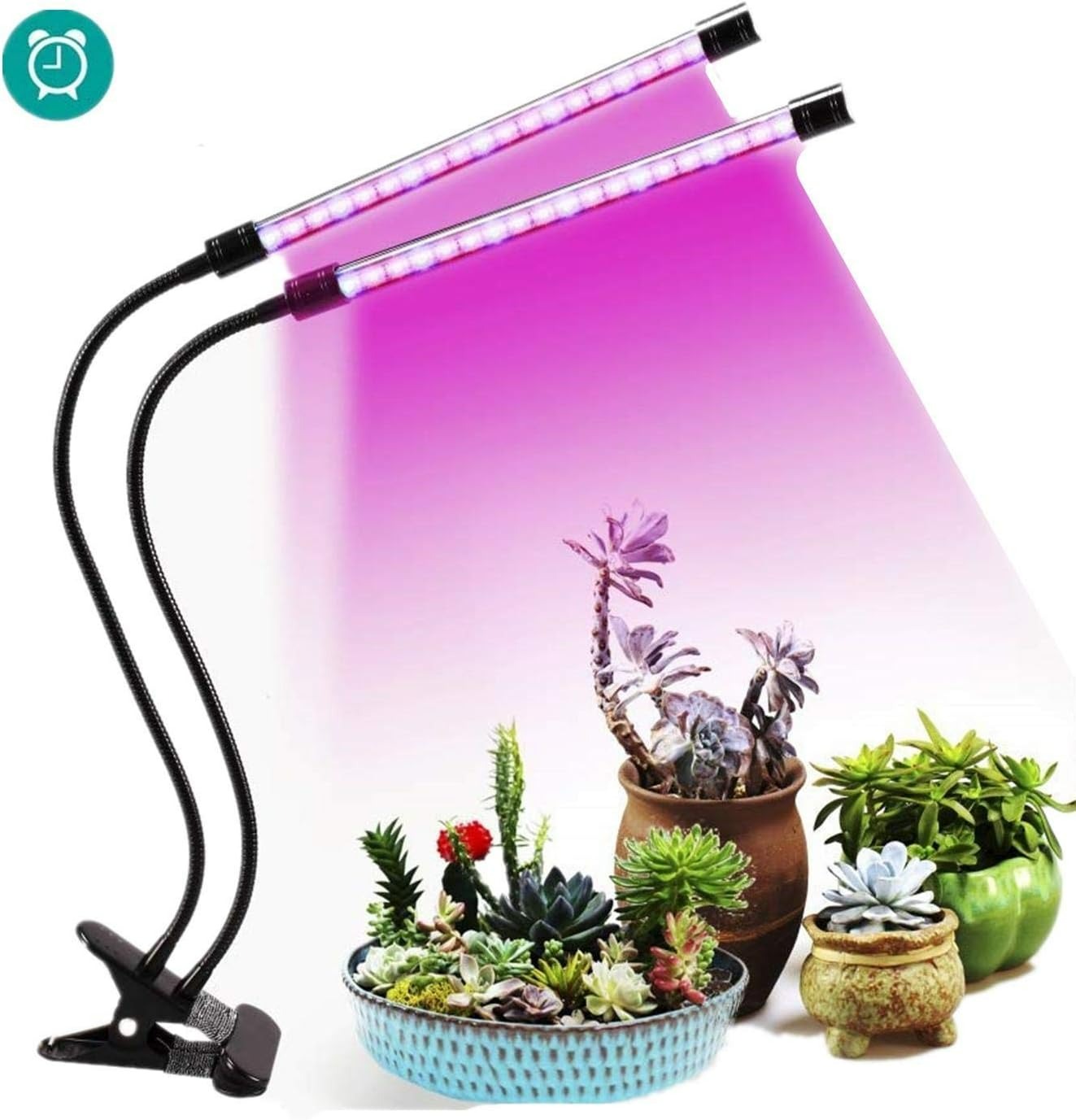 Plant Grow Lamp