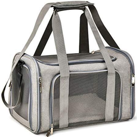 Collapsible Travel Puppy Carrier - Large