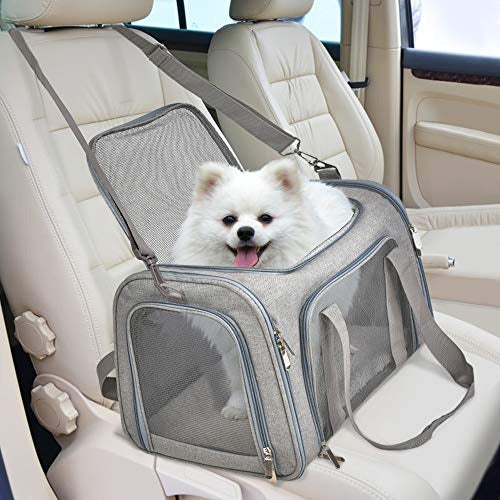 Collapsible Travel Puppy Carrier - Large