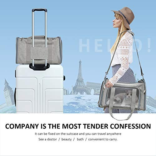 Collapsible Travel Puppy Carrier - Large