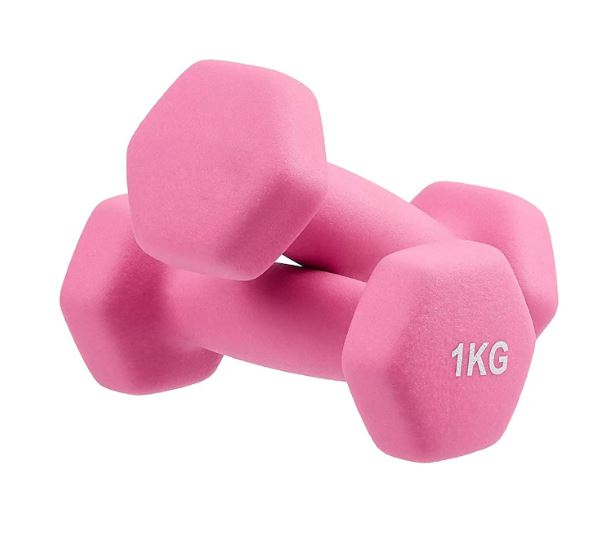 Dumbbell For Ladies (1kg)(Each)