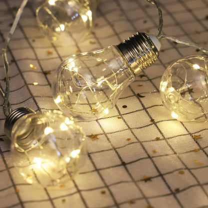 Frosted Bulb Ball String Lights