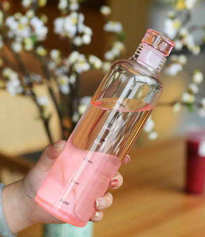 Transparent Motivational Water Bottle (500ml)