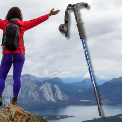 Hiking Pole With Handle