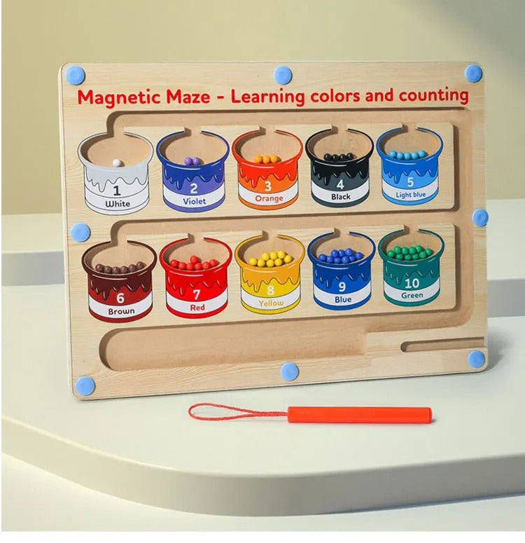 Educational Magnetic Colour And Numbers Classification