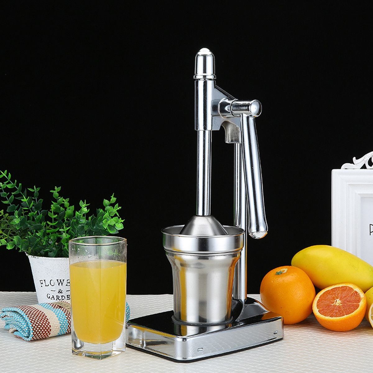 Stainless Steel Manual Juicer Machine