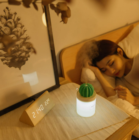 USB Cactus Humidifier (280ml)