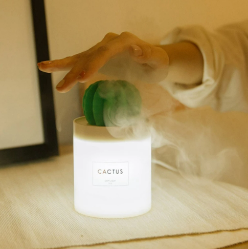 USB Cactus Humidifier (280ml)