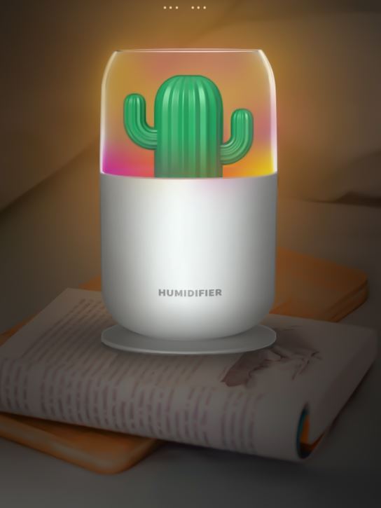 Cactus Humidifier