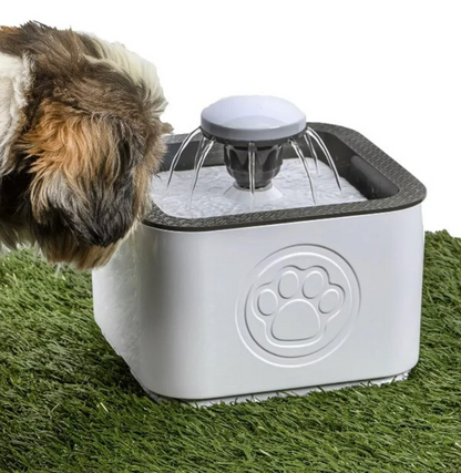 Paw Perfect Pet Water Fountain