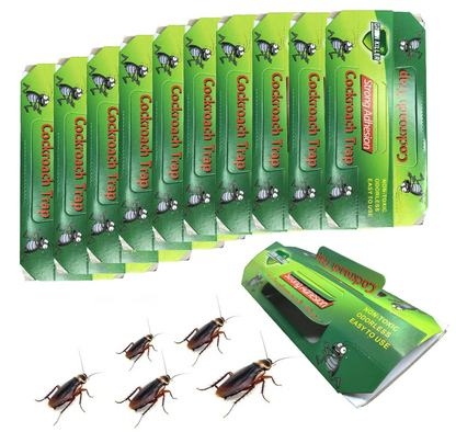 Indoor Cockroach Trap (10 pcs)