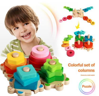 Turtle Shape Sorter Toy