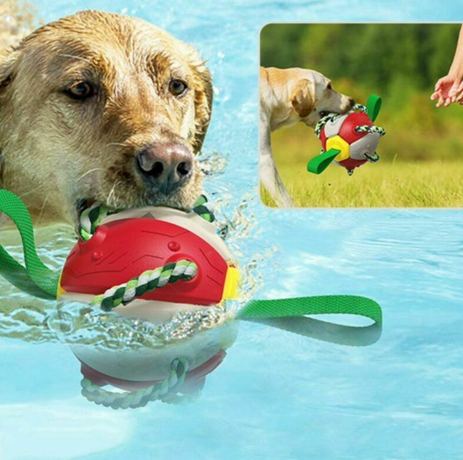 Dog Chew Flying Rebound Training Ball