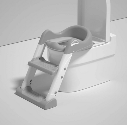 Potty Training Seat Step Ladder