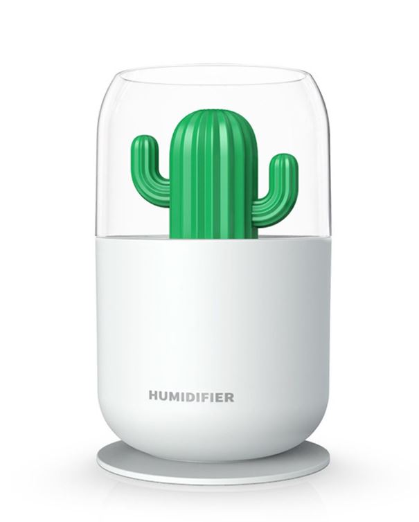 Cactus Humidifier