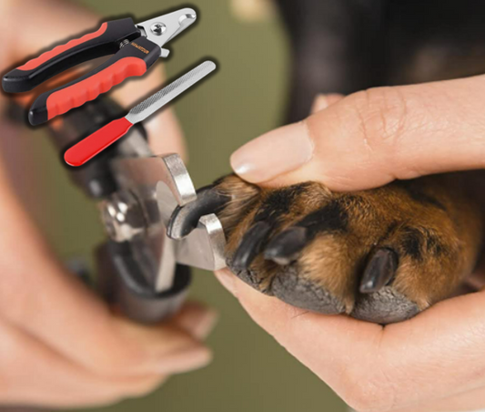 Pet Grooming Razor with Nail File