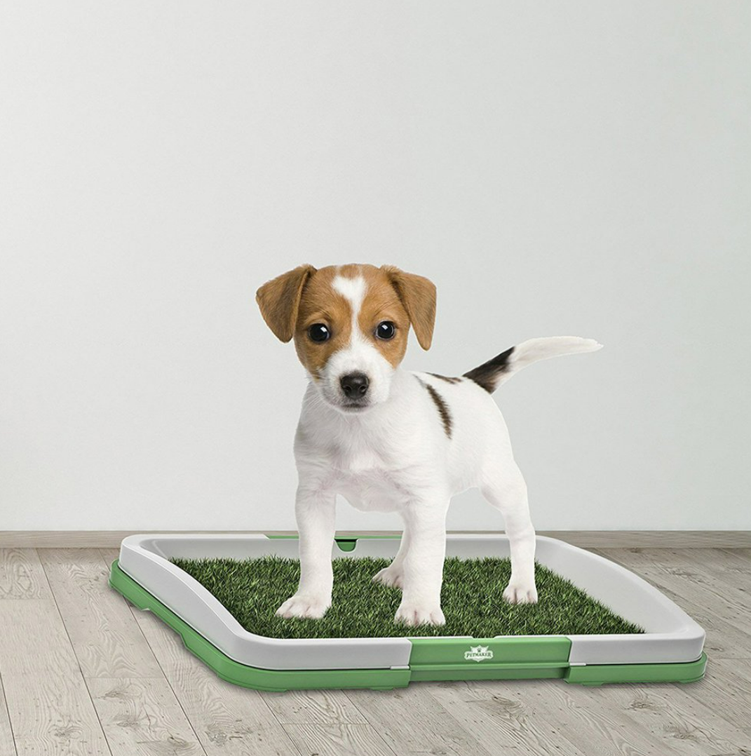 Puppy Potty Training Pad