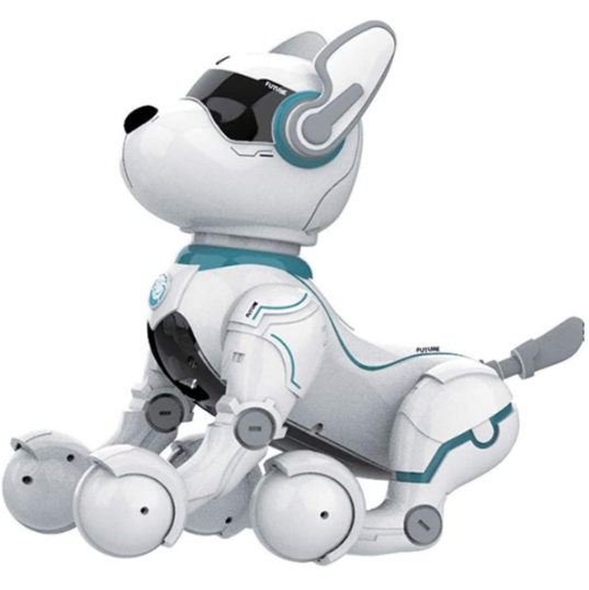 Robotic Dog