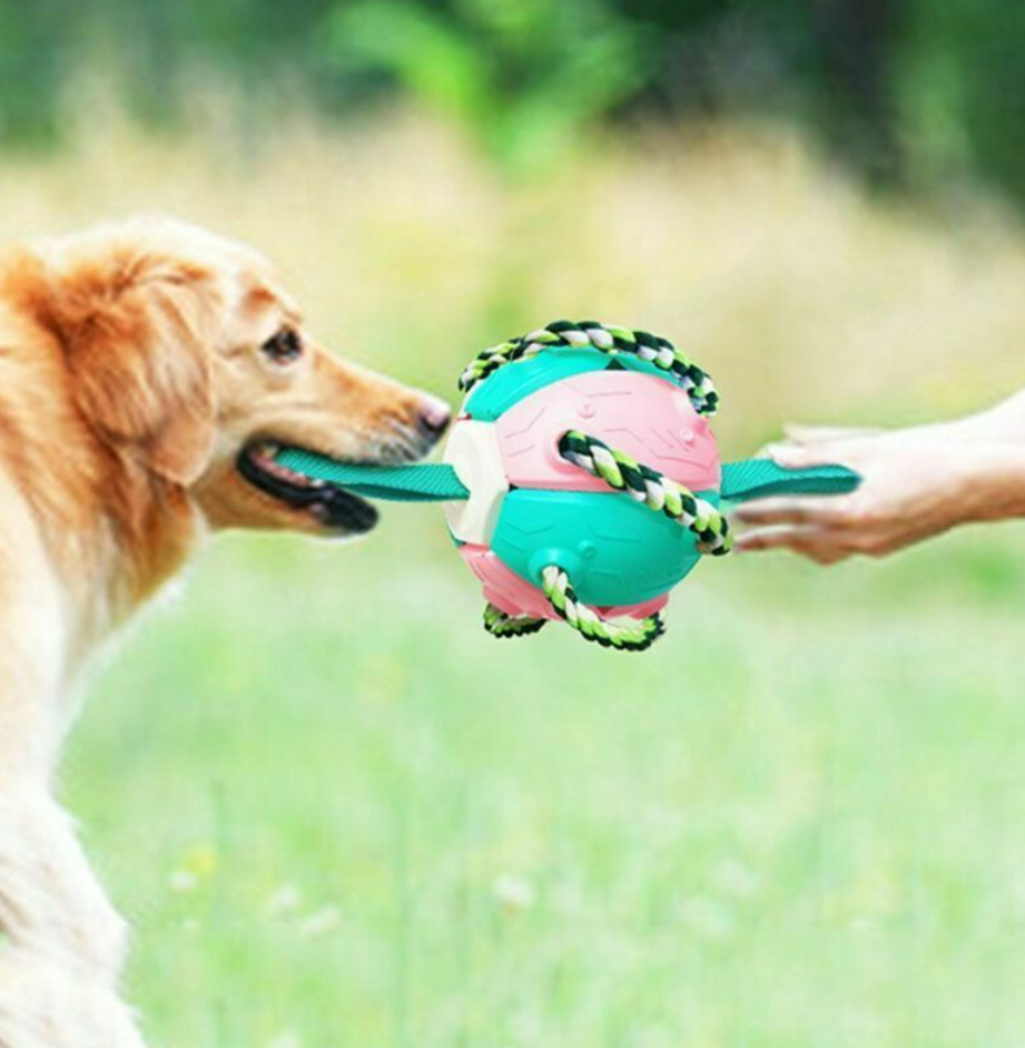 Dog Chew Flying Rebound Training Ball