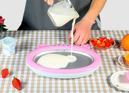 Mini Ice Cream Maker