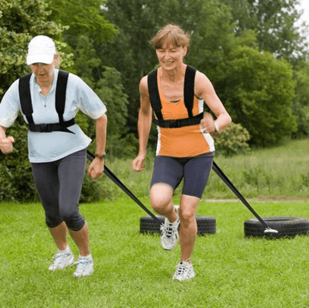 Fitness Sled Harness