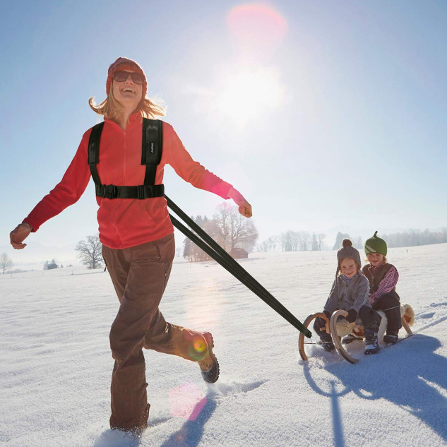 Fitness Sled Harness